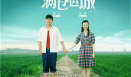 电视剧满仓进城,农村青年奋斗记