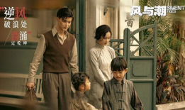 电视剧 追,揭秘命运交织的悬疑之旅