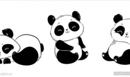 熊猫 动漫,动漫世界里的欢乐冒险